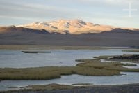 Late afternoon near Antofagasta de la Sierra, on the Altiplano (Puna) of Catamarca, Argentina