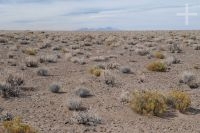 The Andean Altiplano (Puna), Argentina