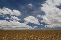 The Andean Altiplano (Puna), province of Jujuy, Argentina