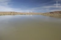 Lagoon on the Altiplano (Puna) of the province of Jujuy, Argentina