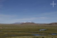 Landscape of the Altiplano (Puna) of the province of Jujuy, Argentina