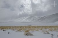 The Altiplano under snow, "Quebrada del Agua", near the Socompa pass and volcano, province of Salta, Argentina