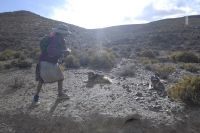 Peasant with her dogs, on the Altiplano of the province of Salta, Argentina