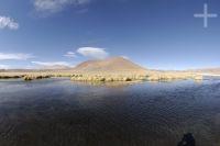 Río de los Patos (River of Ducks), on the Altiplano of Catamarca, Argentina