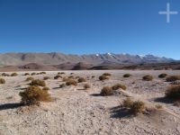 The Labyrinth desert, near Tolar Grande, on the Altiplano of Salta, Argentina