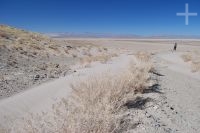 Sand dune on the Andean Altiplano, province of Jujuy, Argentina