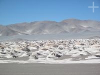 The pumice rock field of El Peñón, Catamarca, Argentina