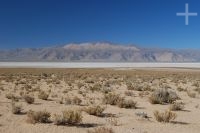 The "Laguna de Guayatayoc", on the Andean Altiplano, province of Jujuy, Argentina