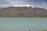 The Vilama Lagoon (4,500 m of altitude), on the Altiplano (Puna) of the province of Jujuy, Argentina