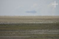 The Andean Altiplano, on the "Laguna de Pozuelos", province of Jujuy, Argentina