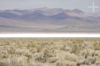 The Cauchari Salar, on the Andean Altiplano (Puna), Argentina