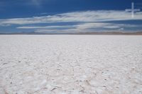 The Olaroz Salar, on the Andean Altiplano (Puna), Argentina