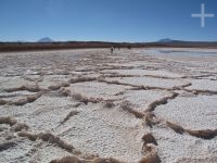 El salar de Tolar Grande, en el Altiplano (Puna) de Salta, Argentina