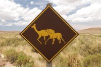 Highway sign, province of Jujuy, Argentina, on the Andean Altiplano