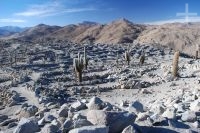 The pre-Hispanic ruins of Santa Rosa de Tastil, Salta province, Argentina, Andean Altiplano