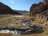 A 'vega' (water, pasture), near Antofagasta de la Sierra, province of Catamarca, Argentina