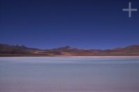 Lagoon on the Andean Altiplano (high plateau), Chile, the Andes Cordillera