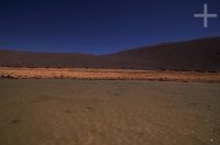 Lagoon on the Andean Altiplano (Puna, high plateau), Argentina, the Andes Cordillera