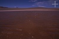 Lagoon on the Andean Altiplano (Puna, high plateau), Argentina, the Andes Cordillera