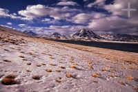 La Laguna Miscanti, Chile, en el Altiplano andino, Cordillera de los Andes