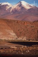 Bolivia, the Andean Altiplano (high plateau), the Andes Cordillera