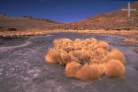 The Altiplano (Puna, high plateau) in winter (August), ice, Argentina, the Andes Cordillera