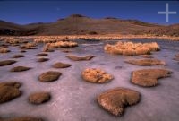 The Altiplano (Puna, high plateau) in winter (August), ice, Argentina, the Andes Cordillera