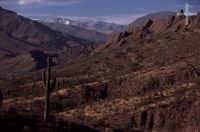 Landscape with sedimentary rocks, Argentina, on the Andean Altiplano (Puna, high plateau), the Andes Cordillera