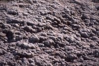 Lava with columnar jointing, Jujuy, Argentina, on the Andean Altiplano (high plateau), the Andes Cordillera