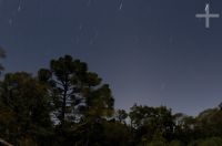 Araucaria angustifolia at night, Serra Negra, Itamonte, MG, Brazil