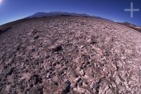 The Antofalla salt flat, Catamarca, Argentina, on the Andean Altiplano (Puna, high plateau), the Andes Cordillera