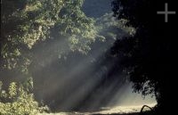 Sun's rays on dusty road, Itatiaia, Brazil