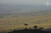 The Gran Sabana, south of Venezuela.