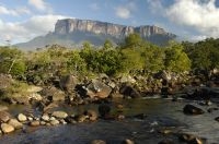 El río Kukenan, en segundo plano el Kukenan tepui, Gran Sabana, sur de la Venezuela.