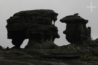 Rocks atop Mount Roraima, Gran Sabana, south of Venezuela.