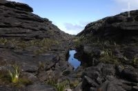 Landscape atop Mount Roraima, Gran Sabana, south of Venezuela.