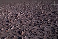 Volcanic bombs, Jujuy, Argentina, on the Andean Altiplano (Puna, high plateau), the Andes Cordillera