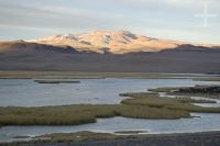Late afternoon near Antofagasta de la Sierra, on the Altiplano (Puna) of Catamarca, Argentina Late afternoon near Antofagasta de la Sierra, on the Altiplano (Puna) of Catamarca, Argentina