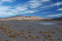 The Andean Altiplano (Puna), Argentina The Andean Altiplano (Puna), Argentina