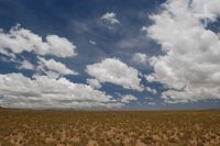 The Andean Altiplano (Puna), province of Jujuy, Argentina The Andean Altiplano (Puna), province of Jujuy, Argentina