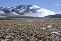 The Altiplano of the province of Catamarca, Argentina The Altiplano of the province of Catamarca, Argentina