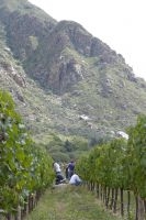 The "Fiesta de la Vendimia": grape harvest festival. Finca Las Nubes, Bodega Mounier, Cafayate, Salta, Argentina The "Fiesta de la Vendimia": grape harvest festival. Finca Las Nubes, Bodega Mounier, Cafayate, Salta, Argentina