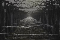 Watering the vines, Cafayate, Salta, Argentina Watering the vines, Cafayate, Salta, Argentina