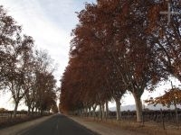 Access to the town of Cafayate, Salta, Argentina Access to the town of Cafayate, Salta, Argentina