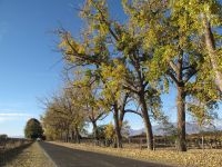 Access to the town of Cafayate, Salta, Argentina Access to the town of Cafayate, Salta, Argentina
