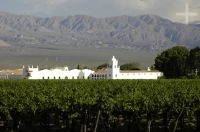 The "El Esteco" winery, Cafayate, province of Salta, Argentina The "El Esteco" winery, Cafayate, province of Salta, Argentina