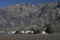 The Felix Lavaque winery, Cafayate, province of Salta, Argentina The Felix Lavaque winery, Cafayate, province of Salta, Argentina