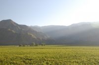 Grapevines on the outskirts of Cafayate, province of Salta, Argentina Grapevines on the outskirts of Cafayate, province of Salta, Argentina