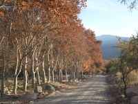 Secondary road on the outskirts of Cafayate, Salta, Argentina Secondary road on the outskirts of Cafayate, Salta, Argentina