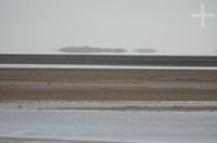 The Andean Altiplano, on the "Laguna de Pozuelos", province of Jujuy, Argentina The Andean Altiplano, on the "Laguna de Pozuelos", province of Jujuy, Argentina